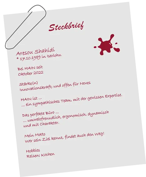 Persönlicher Steckbrief von Aresou Shahidi Razvani