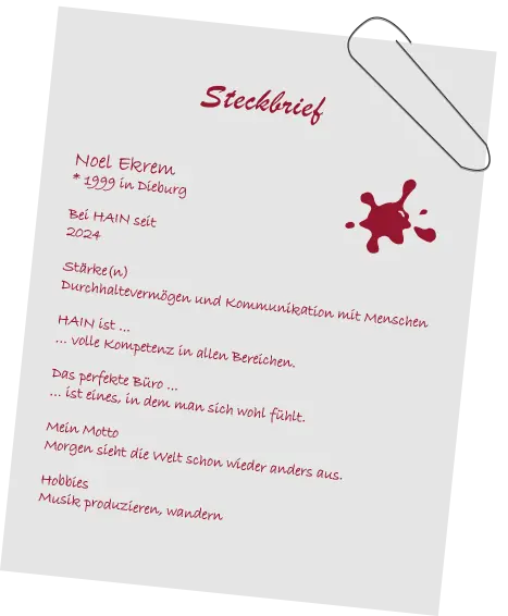 Persönlicher Steckbrief von Noel Ekrem